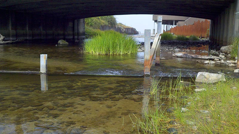 A roadside sign proclaims the D River as the world's shortest. Photo courtesy www.oregoncoasttoday.com