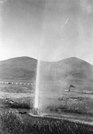 Geyser Old Perpetual erupting in summer
