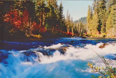 A typical early-autumn scene on the wild and scenic Rogue River, depicted on a picture postcard from the 1960s.