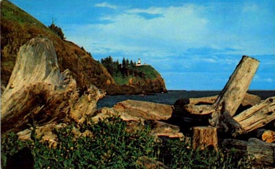 A jumble of driftwood blown up on the shore by the prevailing southwest winds, just north of Cape Disappintment Lighthouse. Postcard image showing a pile of driftwood with the Cape Disappointment Lighthouse in the background.