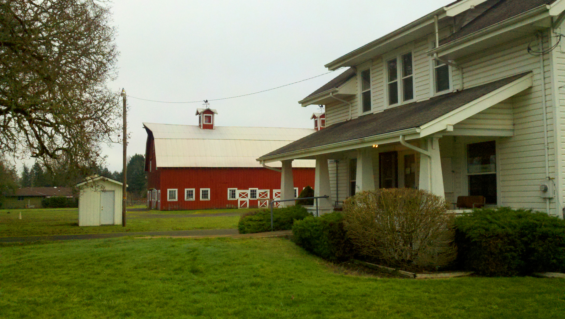 Tangent City Hall office cat was the city's landlord Offbeat Oregon