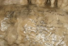 The signatures, in pencil, of Prof. Thomas Condon and his students, scrawled on this rock formation in 1883 and now preserved for all time under a thin, transparent layer of calcite.