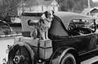 Bobbie the Wonder Dog’s 2,500-mile odyssey put Silverton on the map.