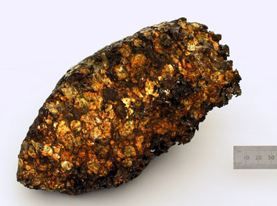 This hunk of pallasite came from the same 1820 meteor strike in Chile that many scientists believe was the source of the 'sample' brought back from the Port Orford Meteorite. Was the meteorite a fraud? Many think so; others think not.